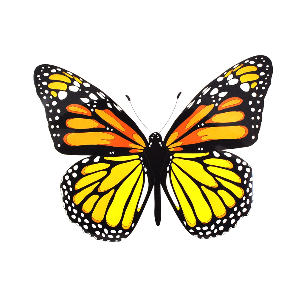 Термоаппликация Бабочка-капустница, 30,5*23,см, черный, оранжевый, белый, шт. Термопереводки Ассорти